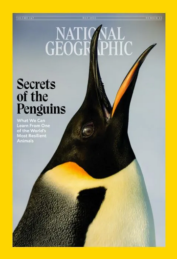 National Geographic magazine cover with penguin